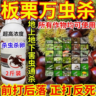 板栗万虫杀蜘蛛果树蔬菜花卉触杀胃毒保质保量前打后落农药杀虫剂