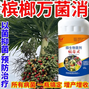 檳榔萬菌消樹蔬菜花卉抗重茬防治銹病炭疽病葉斑病霜霉病葉斑病
