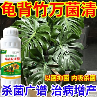 龟背竹万菌清治细菌病锈病炭疽病叶斑病黄斑病杀菌抗病通用菌立净