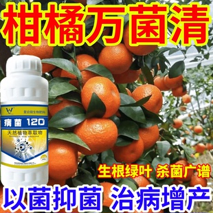 柑橘万菌清病菌细菌通杀霜霉病蔬菜果树白粉病晚疫病通用型杀菌剂