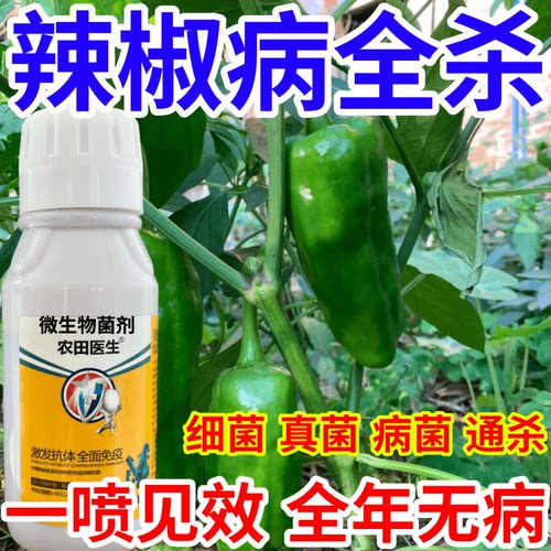 辣椒病全杀微生物菌剂肥料专治作物菌核病软腐通用农田医生叶面肥