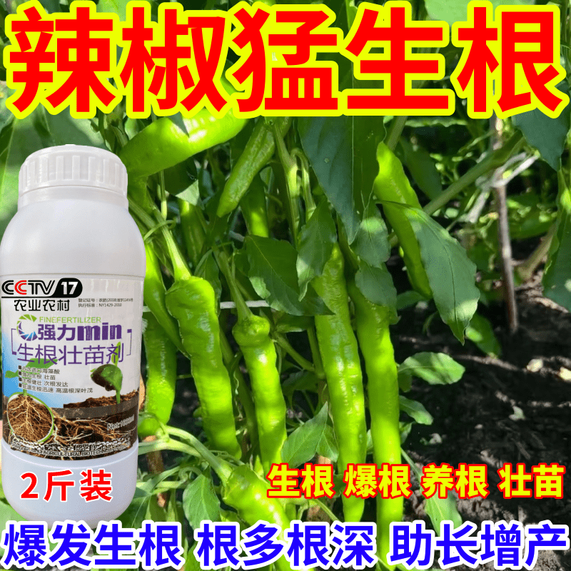 辣椒猛生根根壮苗剂速效生根液大树移植苗木扦插果树蔬菜生根剂