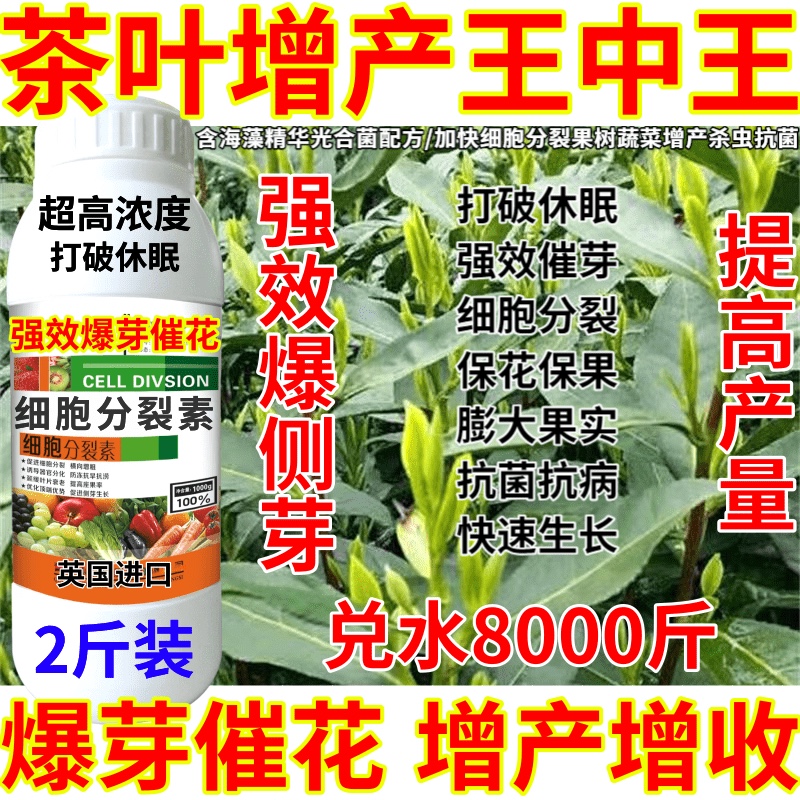 茶叶增产王中王细胞分裂素蔬菜果树花植物茉莉茶树强效爆芽增产