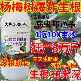 杨梅树蔬卉通用肥叶面肥根腐病黄叶微量元素水溶肥料爆发式生根剂