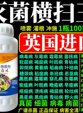 灭菌横扫王剂软腐根腐病叶斑病灰霉病菌核病早疫病微生物菌剂杀菌
