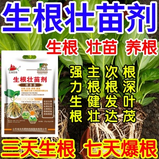 生根壮苗剂根深叶茂主根健株次根发达果树蔬菜花卉爆根生根壮苗剂