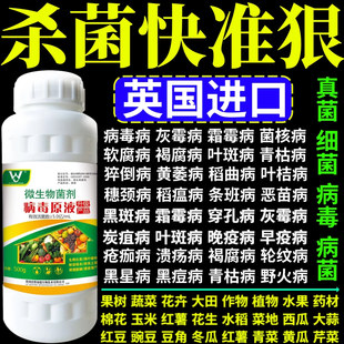 杀菌快准狠毒病杀菌剂蔬菜果树作物大田小叶病卷叶病矮缩病杀菌剂