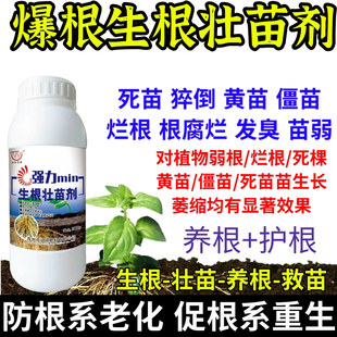 爆根生根壮苗剂生根养根护生根原液快速生根剂正品强力养根发根剂