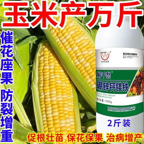 玉米产万斤钙镁硼锌铁绿叶靓果膨果多果美果提质丰产促花促果作物
