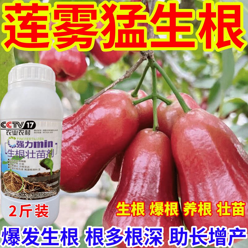 莲雾猛生根生根壮苗剂速效生根液大树移植苗木扦插果树蔬菜生根剂