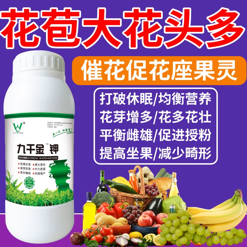 花苞大花头多保花果树蔬菜花卉作物保花保果叶面肥九百金钾防落素