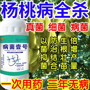 杨桃病全杀以菌抑菌病菌壹号生根绿叶生物防治果树蔬菜花卉杀菌剂