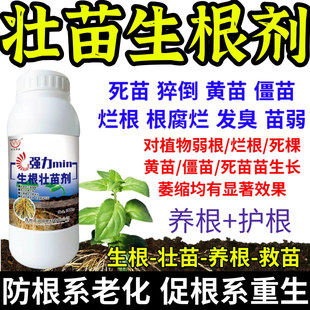 壮苗生根剂强力生根养根护生根原液快速生根剂正品强力养根发根剂