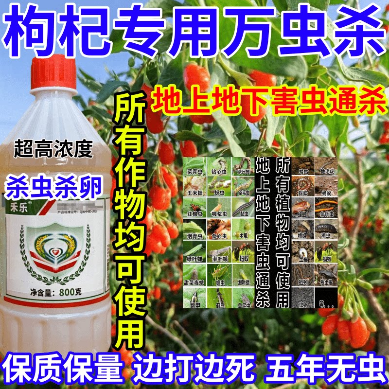 枸杞专用万虫杀通杀杀地上地下万能杀虫剂害虫农药杀虫杀卵杀虫剂