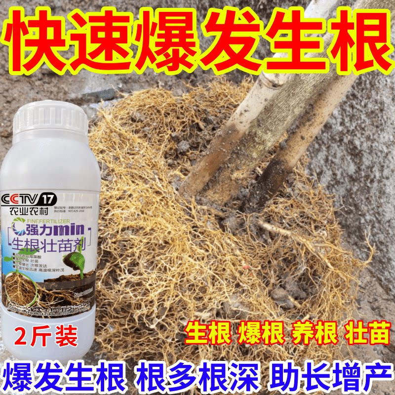 快速爆发生根壮苗剂速效生根液大树移植苗木扦插果树蔬菜生根剂
