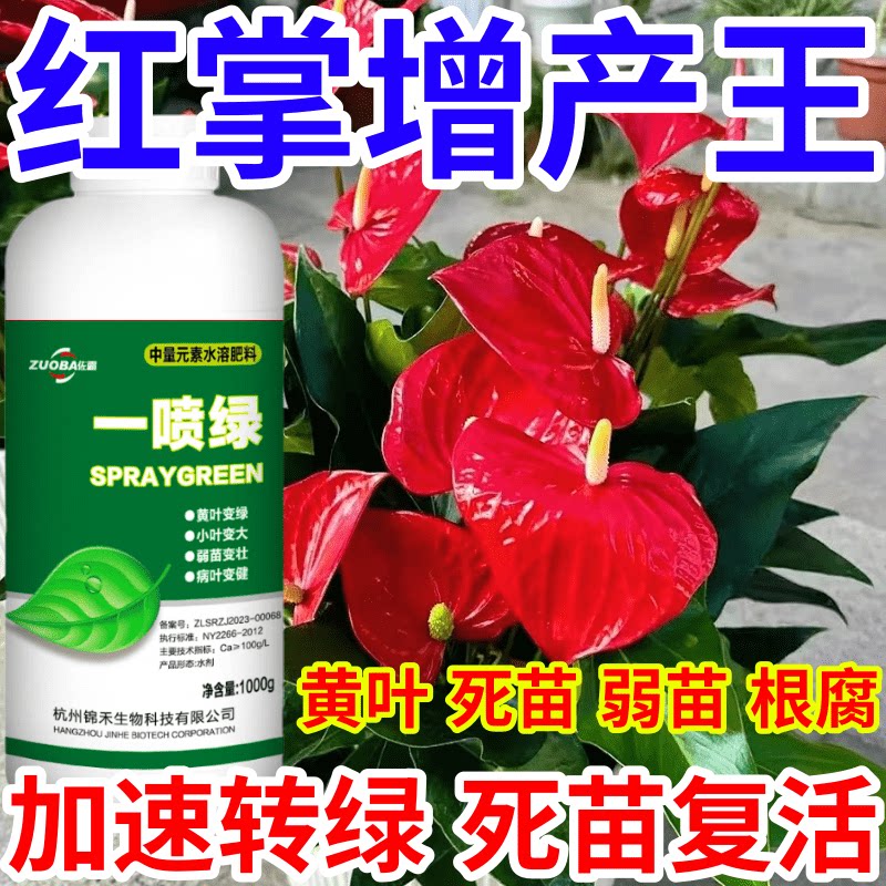 红掌增产王黄叶死苗烂根防根腐蔬菜果树绿植花卉生根壮苗叶面肥料