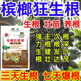 槟榔狂生根根深叶茂主根健株次根发达果树蔬菜花卉爆根生根壮苗剂