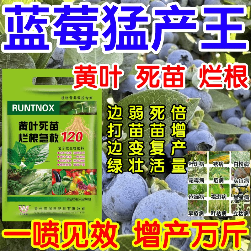 蓝莓猛产王黄叶变绿小叶变弱苗变壮治病增产叶面肥料果树蔬菜花卉