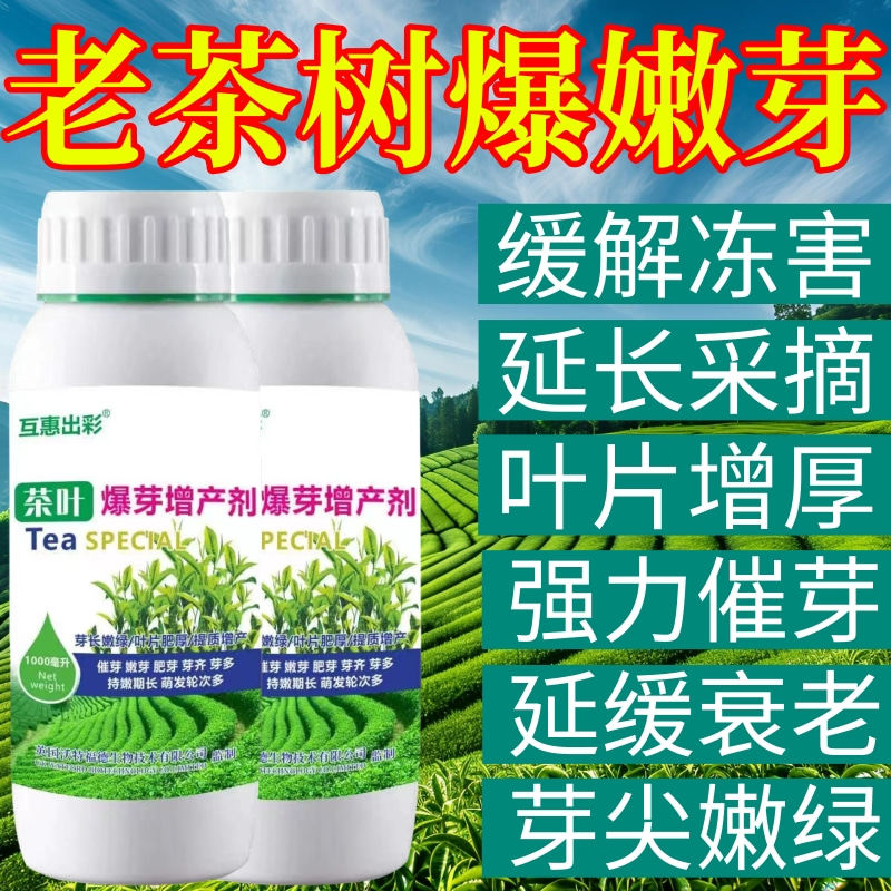 老茶树爆嫩芽素专用叶面肥爆新芽剂强力催芽增产促长促花芽叶面肥