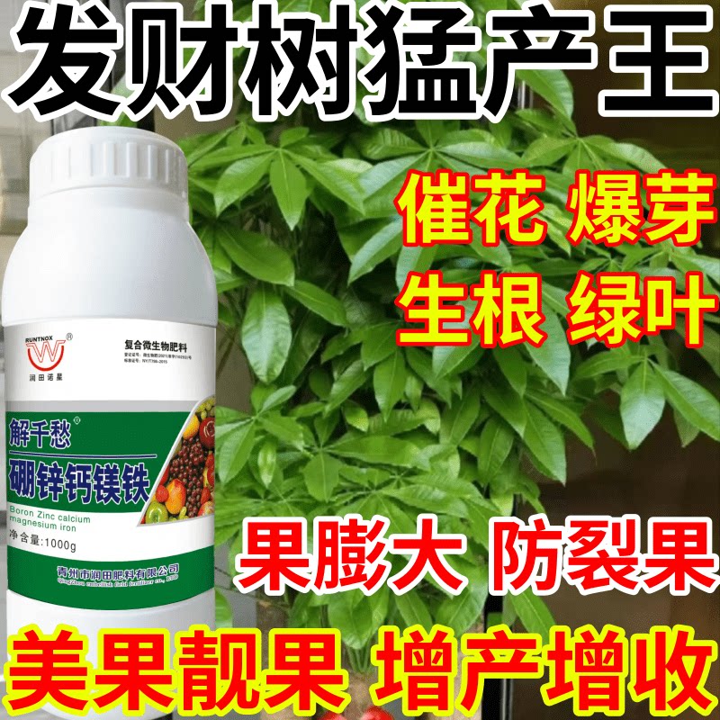 发财树猛产王保果果树蔬菜花卉硼锌钙镁铁五种同补产万斤叶面肥