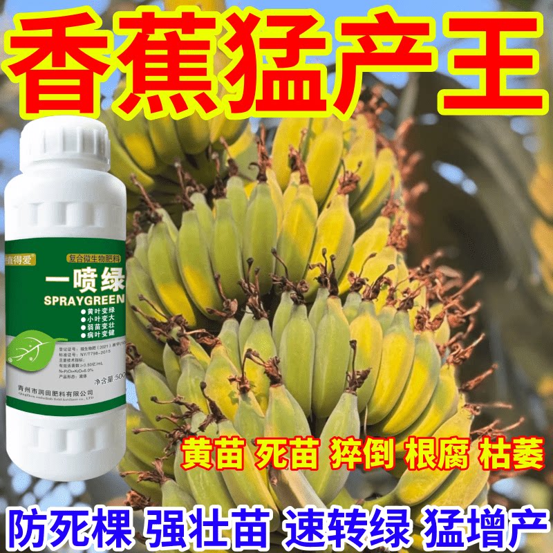 香蕉猛产王王死苗一喷绿通用植物蔬菜花卉果树绿叶微量元素肥农用