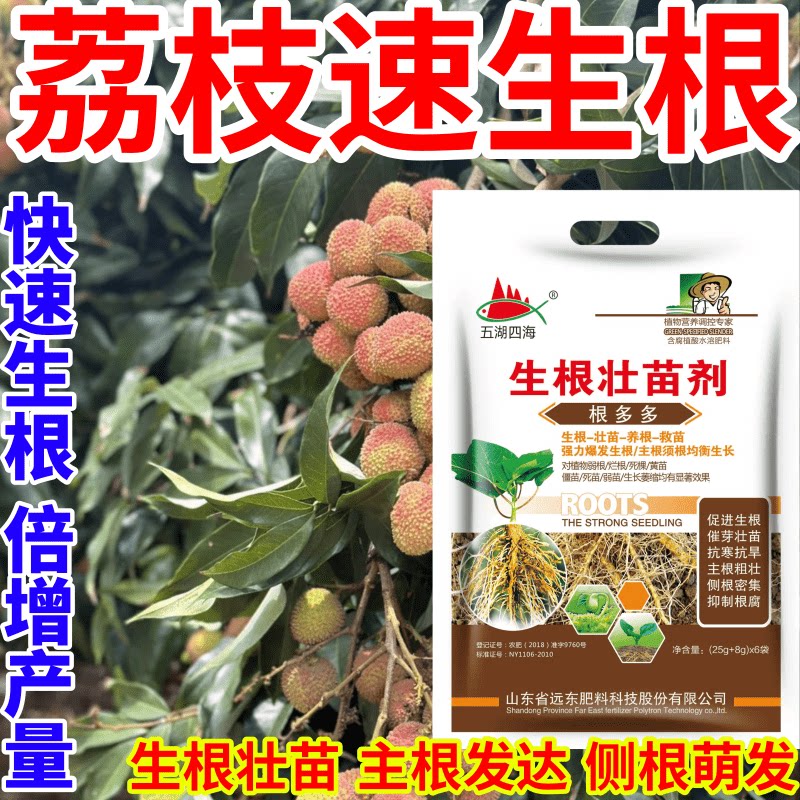 荔枝速生根叶面肥扦插移栽猛生根原液腐殖酸水溶肥料育苗膨大根茎