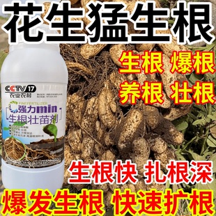 花生猛生根爆发生根养根护根壮苗水培移栽扦插果树蔬菜花卉生根剂