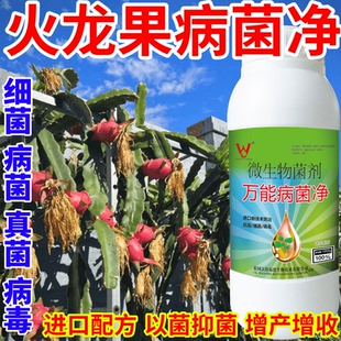 火龙果病菌净蔬菜花卉稻瘟病病毒白粉病灰霉病锈病病害清一喷清