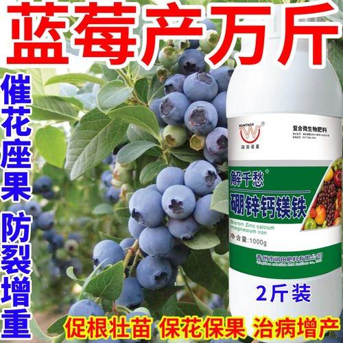 蓝莓产万斤钙镁硼锌铁绿叶靓果膨果多果美果提质丰产促花促果作物