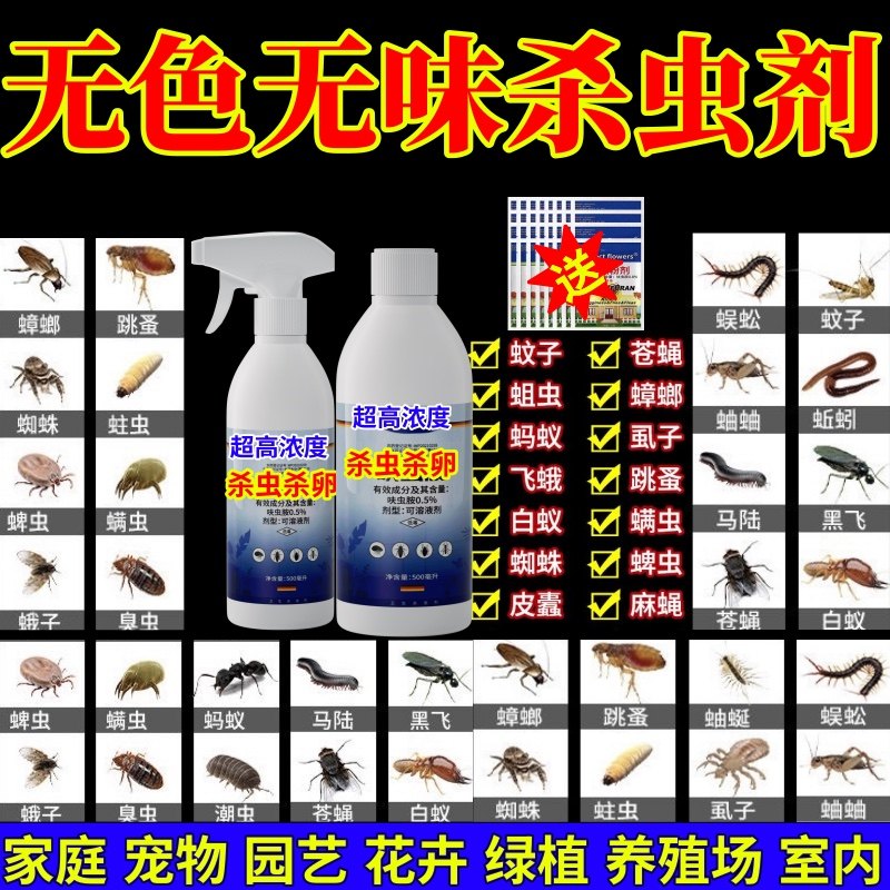 无色无味杀虫剂强效通杀地上地下卫生农药公共场所杀虫杀卵宠物虫