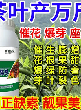 茶叶产万斤硼锌钙镁铁微量元素营养全果树蔬菜花卉纠正缺素叶面肥