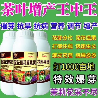 茶叶增产王中王促花催花座果灵营养液催产肥料蔬菜果树授粉防落素