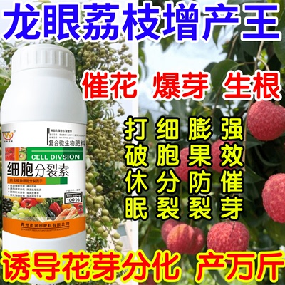 龙眼荔枝增产王休眠加速细胞分裂膨果防裂强效催芽果树蔬菜叶面肥