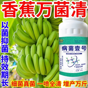 香蕉萬菌清早霜霉病晚疫病白粉病真菌細菌病毒稻瘟病銹病一瓶搞定