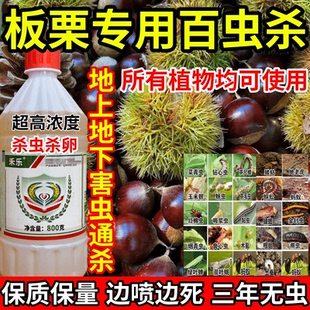 板栗专用百虫杀蜘蛛地蛆虫食心虫果树蔬菜花卉杀虫杀卵农药杀虫剂