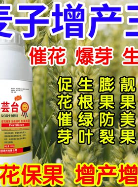 麦子增产王保花保果催芽增产增收爆芽生长调节果树蔬菜花卉叶面肥
