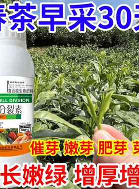 春茶早采30天嫩绿茶叶催芽王强力催芽猛产爆芽提前发芽增产叶面肥