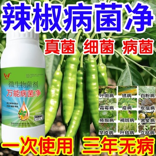 辣椒病菌净白粉病灰霉病锈病绿植花卉果树蔬菜病害清一喷清杀菌剂