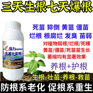 三天生根七天爆根根养根护生根原液快速生根剂正品强力养根发根剂