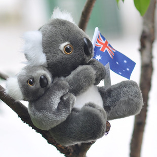 澳大利亚旗子母子考拉公仔生日礼物毛绒玩具树袋熊肩上背小熊灰色