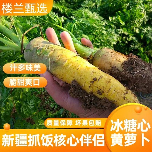 冰糖心黄萝卜新疆农家自种可生吃