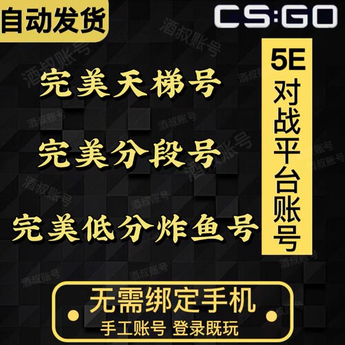完美csgo号完美世界对战平台天梯号cs2账号老兵号炸鱼号d分新手号