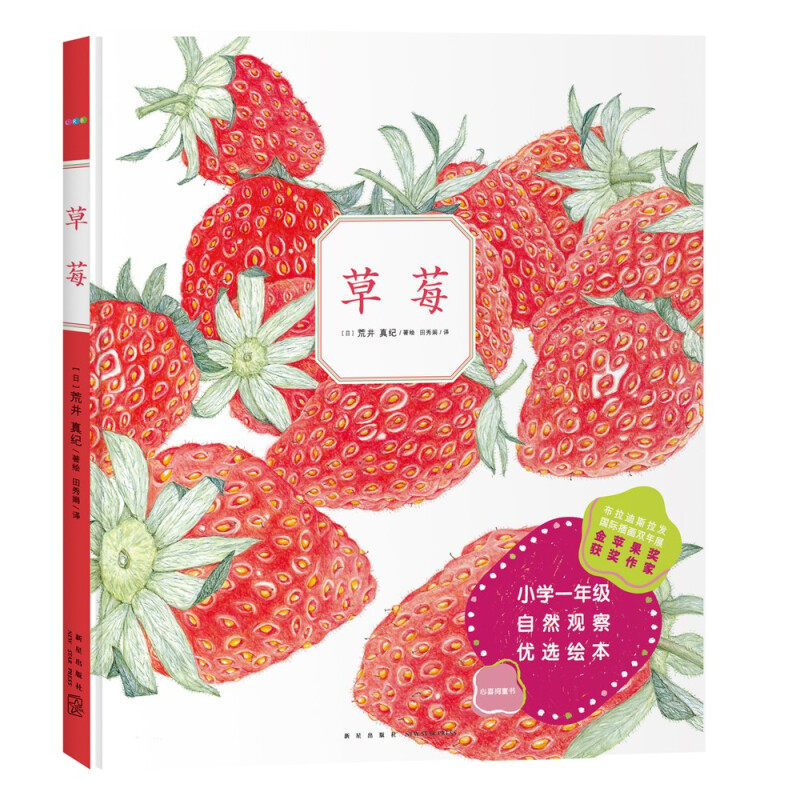 绘本新星出版社睡前图画故事书籍幼儿园宝宝课外阅读书籍草莓观察图画