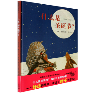 【思维拓展/爱与被爱】什么是圣诞节精装 绘本图书 低幼启蒙幼儿园2-3-4-5-6周岁亲子阅读晚安故事 必读幼儿园推荐阅读图画书