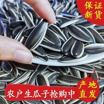 内蒙古大花脸新货颗粒炒生葵花籽批发原味散装炒货葵花子零食瓜子