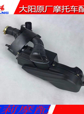 大阳摩托车配件DY100T-6/125T-16/26格格泰山踏板车空气滤芯器