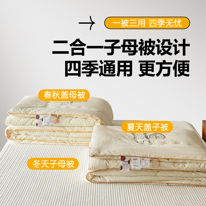 拉链二合一双胎子母被加厚冬被春秋被可水洗学生被冬季大豆被夏被