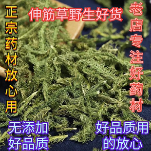 伸筋草中药材正品500g野生筋骨草舒筋草通筋草野生新货无硫