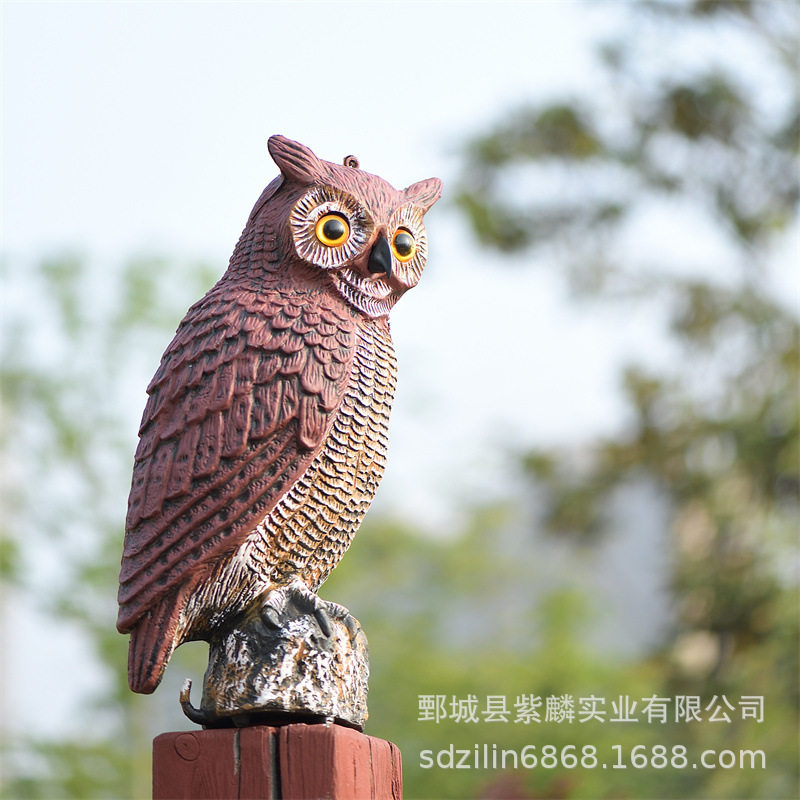 仿真园林装饰摆猫头鹰吹塑工艺