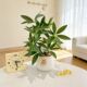 仿真绿植发财树高级感小型盆栽室内办公桌面客厅茶几假花花艺摆设